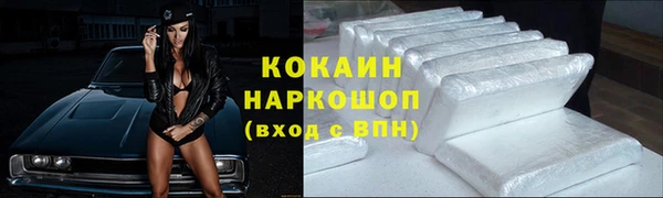 шишки Володарск